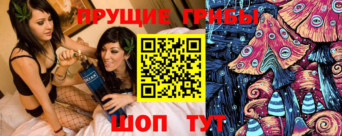 Псилоцибиновые грибы Psilocybe  Вход с VPN  Кемерово 